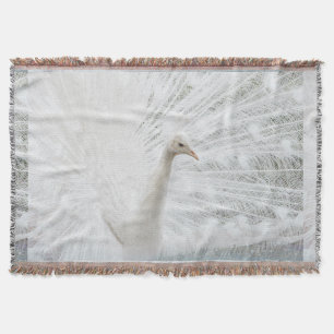 Couverture Peacock blanc belles plumes