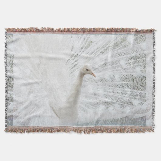 Couverture Peacock blanc belles plumes (Devant)