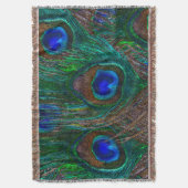 Couverture Peacock Feathers Etching Style (devant Vertical)
