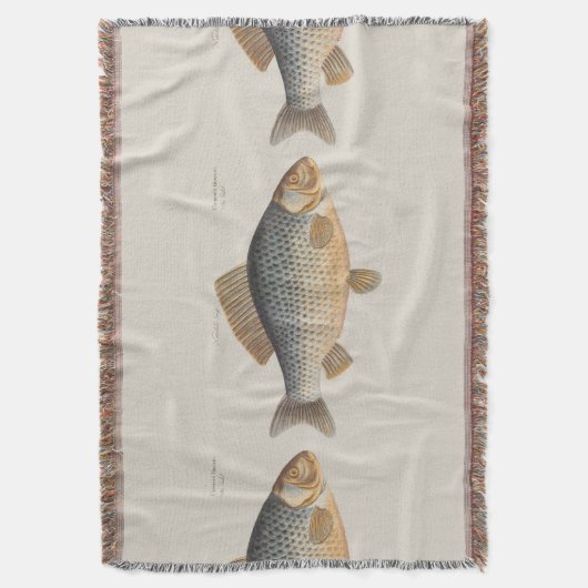 Couverture Pêche à la carpe peinture à l'eau douce (devant Vertical)