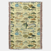 Couverture Pêche scientifique vintage (devant Vertical)