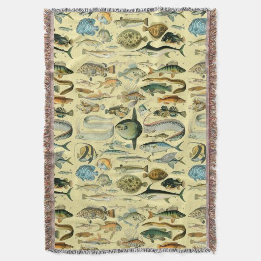 Couverture Pêche scientifique vintage (devant Vertical)