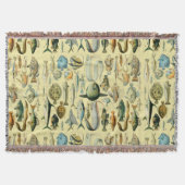 Couverture Pêche scientifique vintage (Devant)