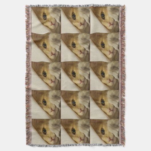 Couverture Peek-A-Boo Kitty (devant Vertical)