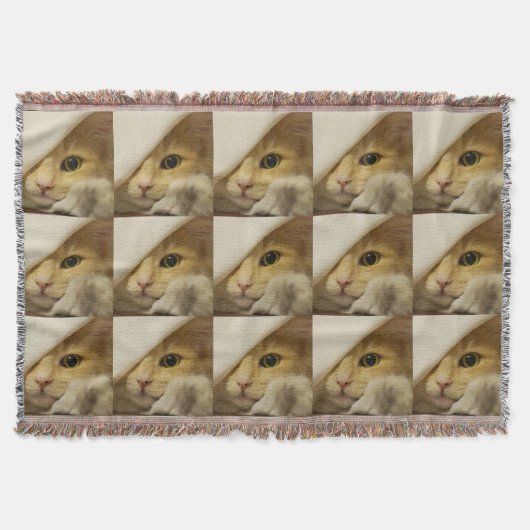 Couverture Peek-A-Boo Kitty (Devant)