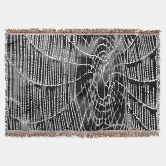 Couverture Peinture Abstraite D'Une Cobweb Blanc Gris Sur Noi (Devant)