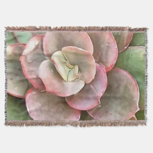 Couverture Peinture acrylique Succulente Echeveria Cactus (Devant)