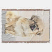 Couverture Peinture d'espagne tibétaine - jolie art original  (Devant)