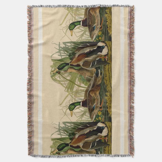 Couverture Peinture d'oiseaux de Mallard Duck Audubon (devant Vertical)
