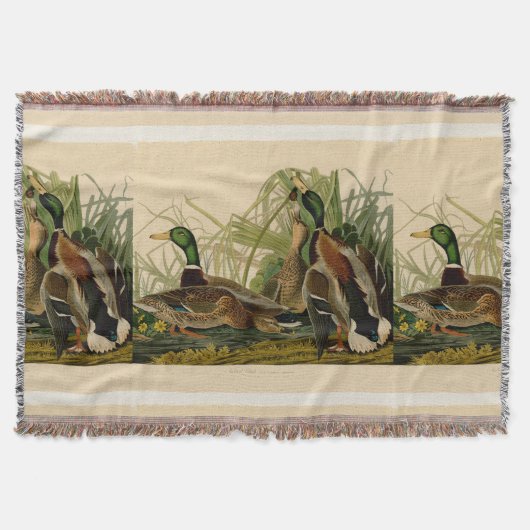 Couverture Peinture d'oiseaux de Mallard Duck Audubon (Devant)