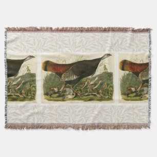 Couverture Peinture d'oiseaux sauvages de Turquie Audubon