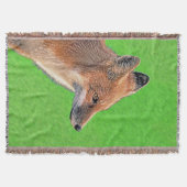 Couverture Peinture Red Fox - Art original de la faune (Devant)