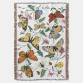 Couverture Peinture vintage de papillon et de papillon (devant Vertical)