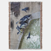 Couverture Penguin Relay : équipe de natation de la colonie d (devant Vertical)