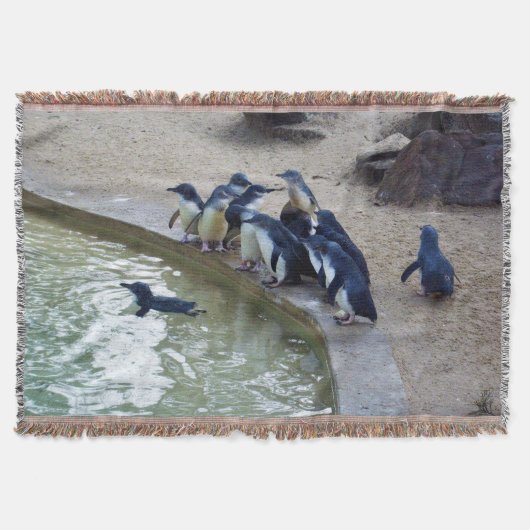 Couverture Penguin Relay : équipe de natation de la colonie d (Devant)