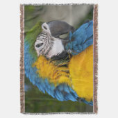 Couverture Perroquet Bleu Et Or (devant Vertical)