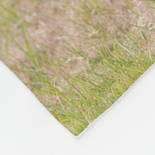 Couverture Personnalisée Avec Animaux De Compagnie (Coin)