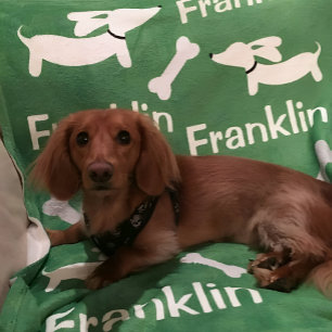 Couverture personnalisée Brown Dachshund Wiener Do