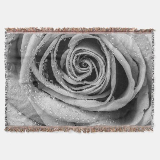 Couverture Pétales roses 5 (Devant)