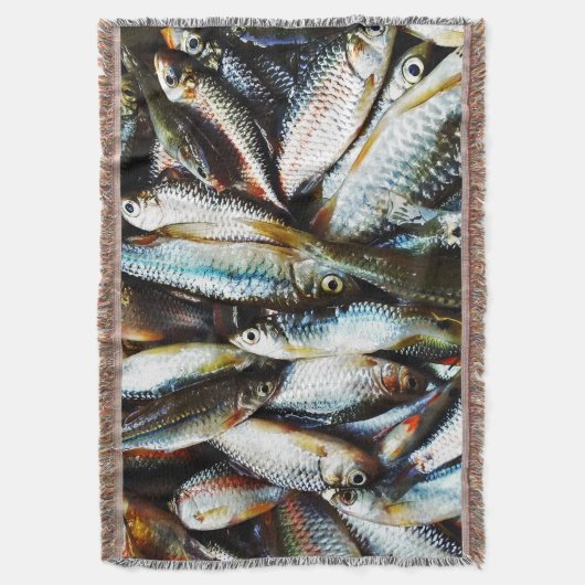 Couverture Petit poisson blanc (devant Vertical)