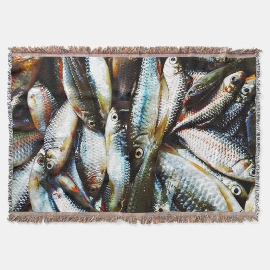 Couverture Petit poisson blanc (Devant)