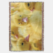 Couverture Petits canards (devant Vertical)