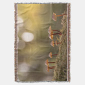 Couverture Petits champignons Photo nature (devant Vertical)