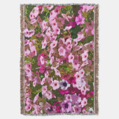 Couverture Pétunia rose (devant Vertical)