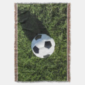 Couverture Phoenix, Arizona, USA. (devant Vertical)