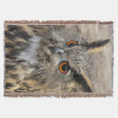 Couverture Photo de chouette d'aigle mou (Devant)