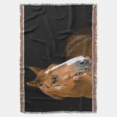 Couverture Photo de Quarter-Horse marron (devant Vertical)
