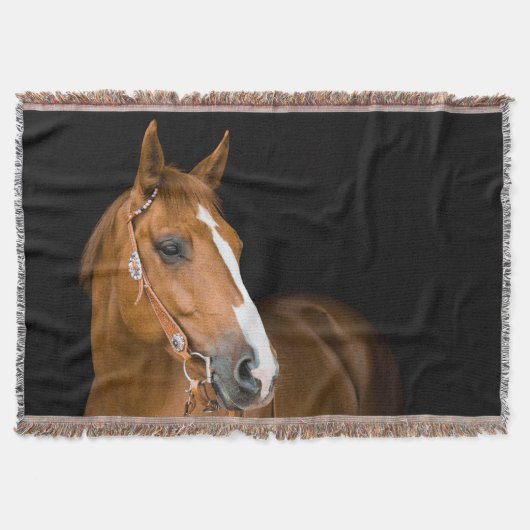Couverture Photo de Quarter-Horse marron (Devant)