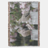 Couverture Photo Doves en deuil (devant Vertical)