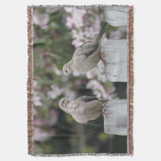 Couverture Photo Doves en deuil (devant Vertical)