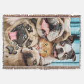 Couverture Photo d'un groupe de chiens et de chats (Devant)