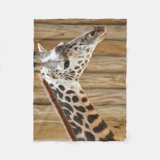 Couverture photo Giraffe (Devant)