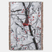 Couverture Photo Red Cardinal Snow Tree (devant Vertical)