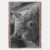 Couverture Photographie du visage de chat endormi (devant Vertical)