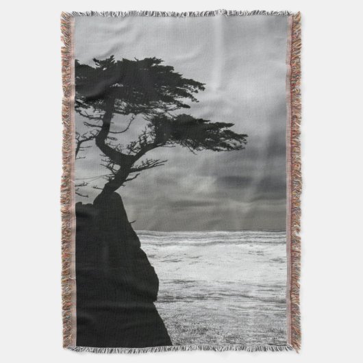 Couverture Photographie nature noir et blanc (devant Vertical)