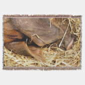 COUVERTURE PIÈCES (Devant)