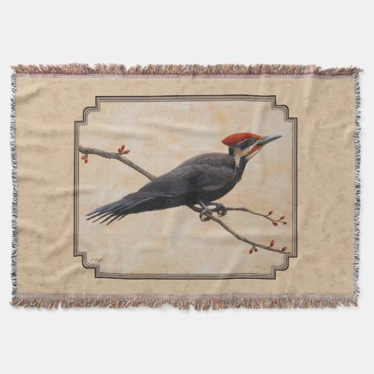 Couverture Pileated Woodpecker (Devant)