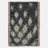 Couverture Plafond (devant Vertical)