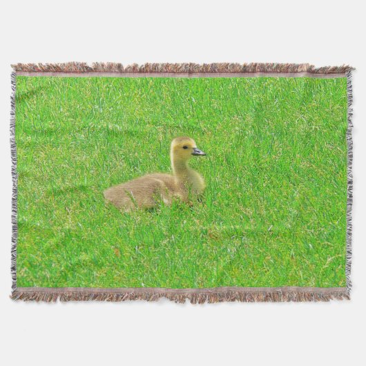 Couverture Plaid de jet (Devant)