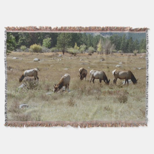Couverture plaid de lancer cerf élaphe (Devant)
