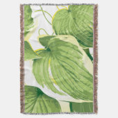 Couverture Plante de ficus 2 (devant Vertical)