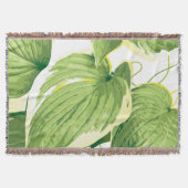 Couverture Plante de ficus 2 (Devant)