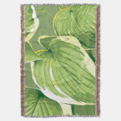 Couverture Plante de ficus 5 (devant Vertical)