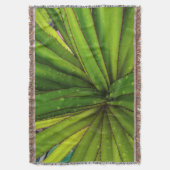 Couverture Pluie du matin sur le pandanus (devant Vertical)