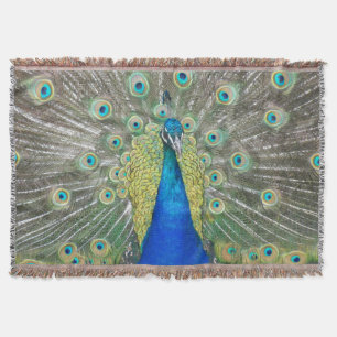 Couverture Plumage bleu Peacock