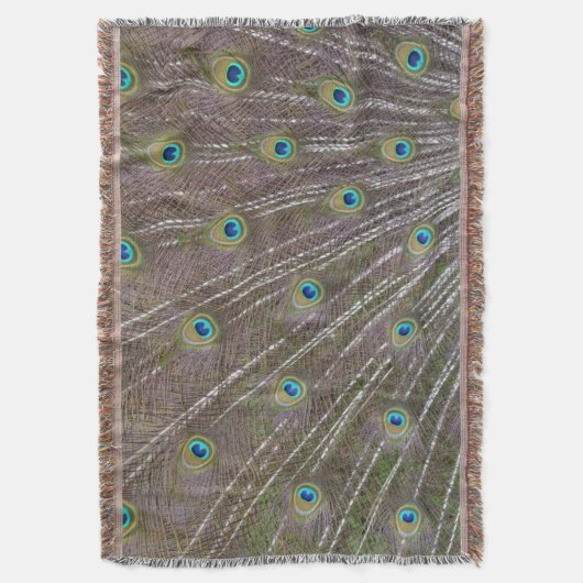 Couverture Plumes de paon (devant Vertical)